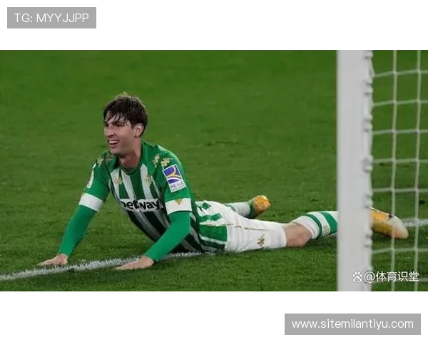 米兰体育赌博行业的监管政策变化与行业自律发展